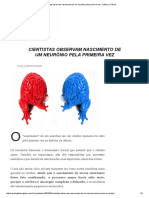 Cientistas observam nascimento neurônio pela 1a vez