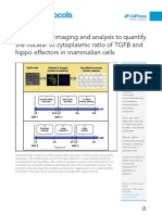 High-Content Imaging and Analysis To Quantify The