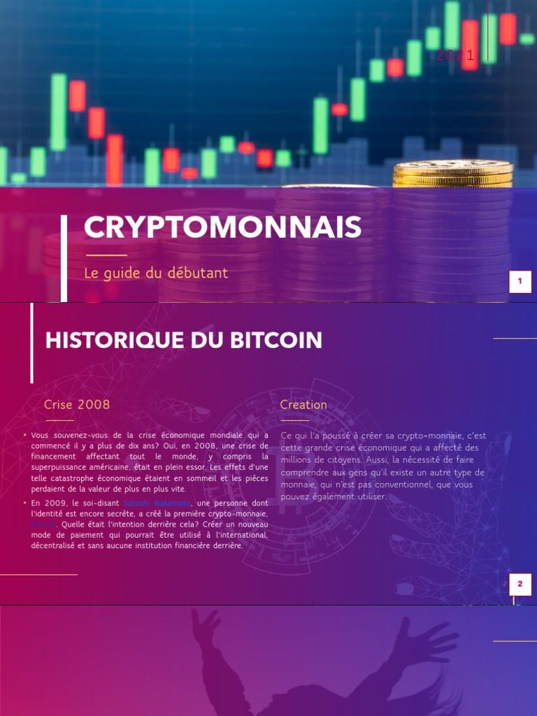 Guide du Débutant en Crypto-Monnaie | PDF | Crytomonnaies | Bitcoin