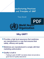 1 3 GMP Purpose Principles Guidelines