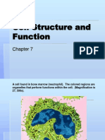 7 Cell Structureand Function