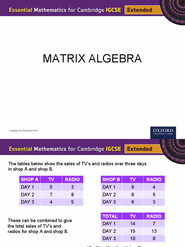 Matrix Algebra PDF Matrix (Mathematics) Determinant