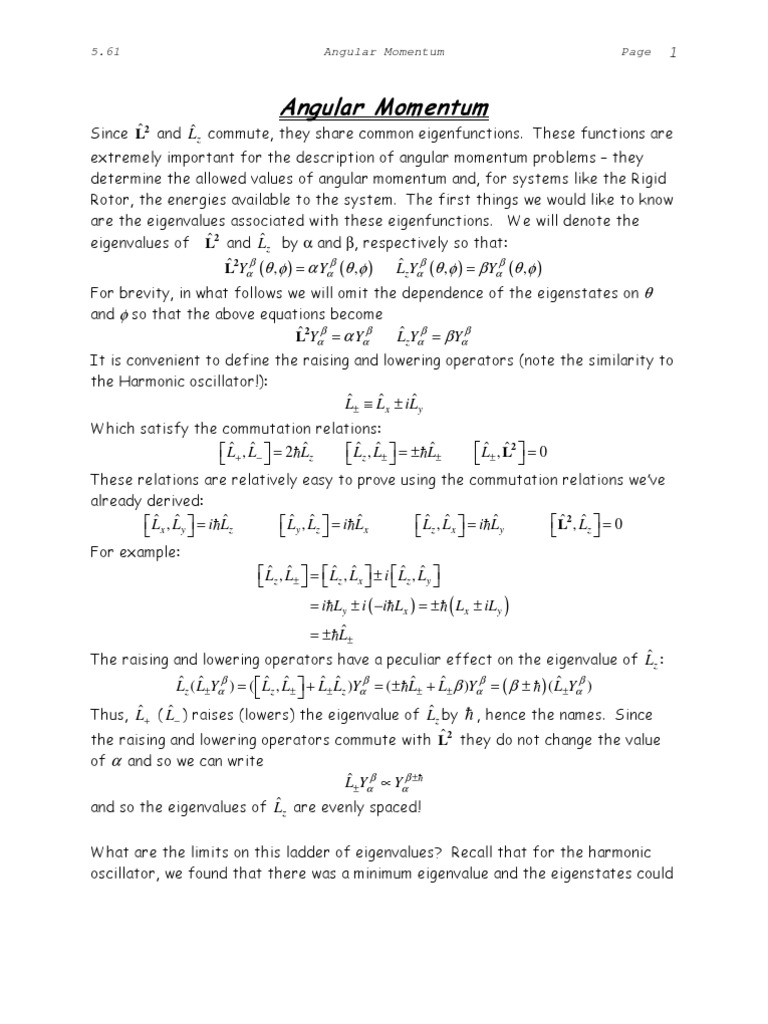 Angular Momentum | PDF | Quantum Mechanics | Modern Physics