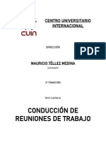 Sintesis Conducción de Reuniones - MTM