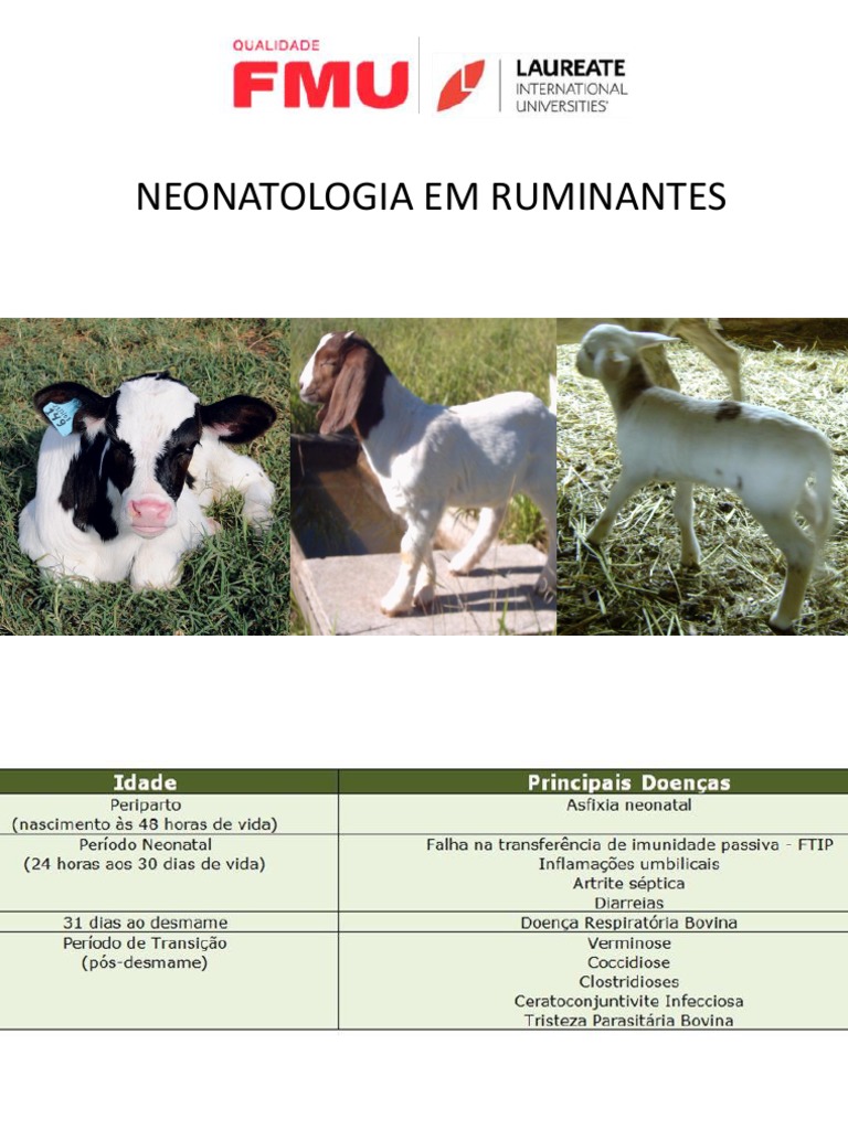 Neonatologia em Ruminantes | PDF | Especialidades médicas | Medicina ...
