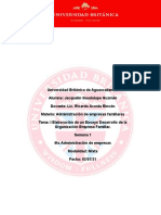 I Elaboración de Un Ensayo Desarrollo de La Organización Empresa Familiar - Jacquelin