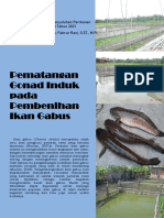 Leaflet 3 - Pematangan Gonad - Pembenihan Ikan Gabus 2021