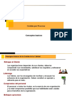 Gestion Por Procesos 17032009