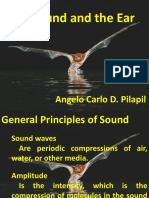 The Sound and The Ear: Angelo Carlo D. Pilapil