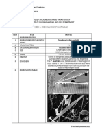 Medically Significant Algae