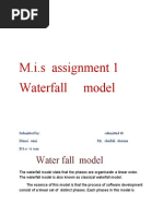 M.I.S Assignment 1 Waterfall Model