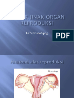 1. Tumor Jinak Organ Reproduksi