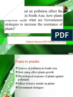 How Smog and Air Pollution Effect The Plant Growth in South Asia.
