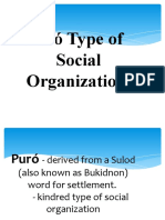 1.6 Types of Social Org - Puro