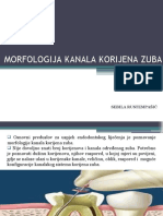 Morfologija Kanala Korijena Zuba