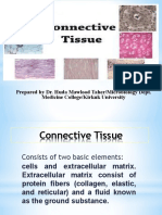 Lab Connective Tissue