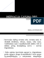 Inervacija Cavuma Oris