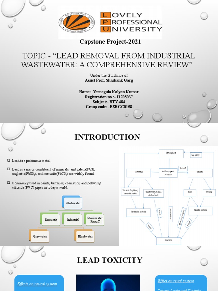 A Comprehensive Review of Lead Removal Techniques for Industrial