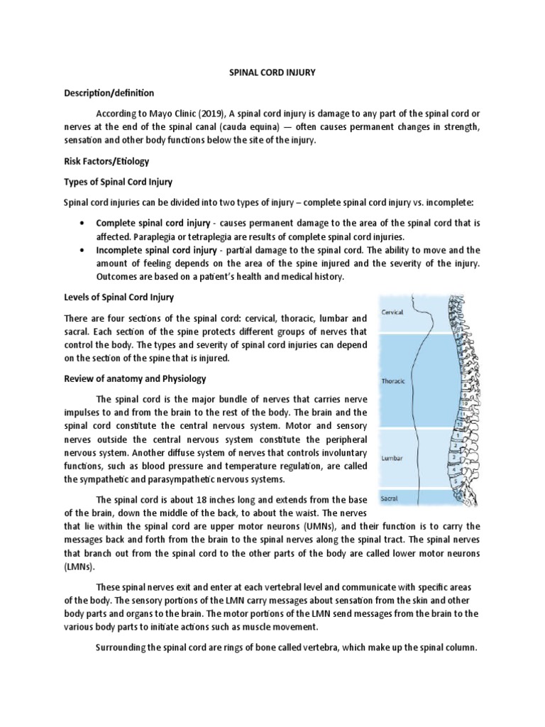Spinal Cord Injury Description/definition PDF Spinal Cord Spinal