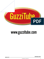 Moto Guzzi Breva 750 Service Manual