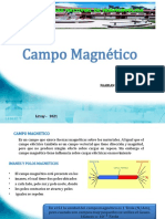 Fabian Campo Magnetico