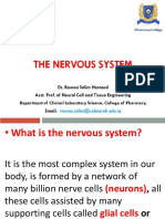 The nervous system (An Introduction 1)