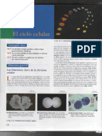 Biologia General - Campbell y Reece (Cap.12)