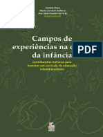 Aula01 COMPL1- FINCO - Campos de Experiencia Educativa e Programacao Pedagogica Na Escola Da Infancia