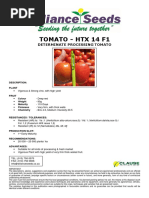 Trinity F1 Tomato Overview and Yield | PDF | Tomato | Pruning