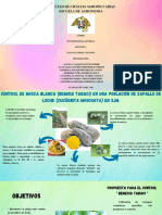 Infografia Rsu