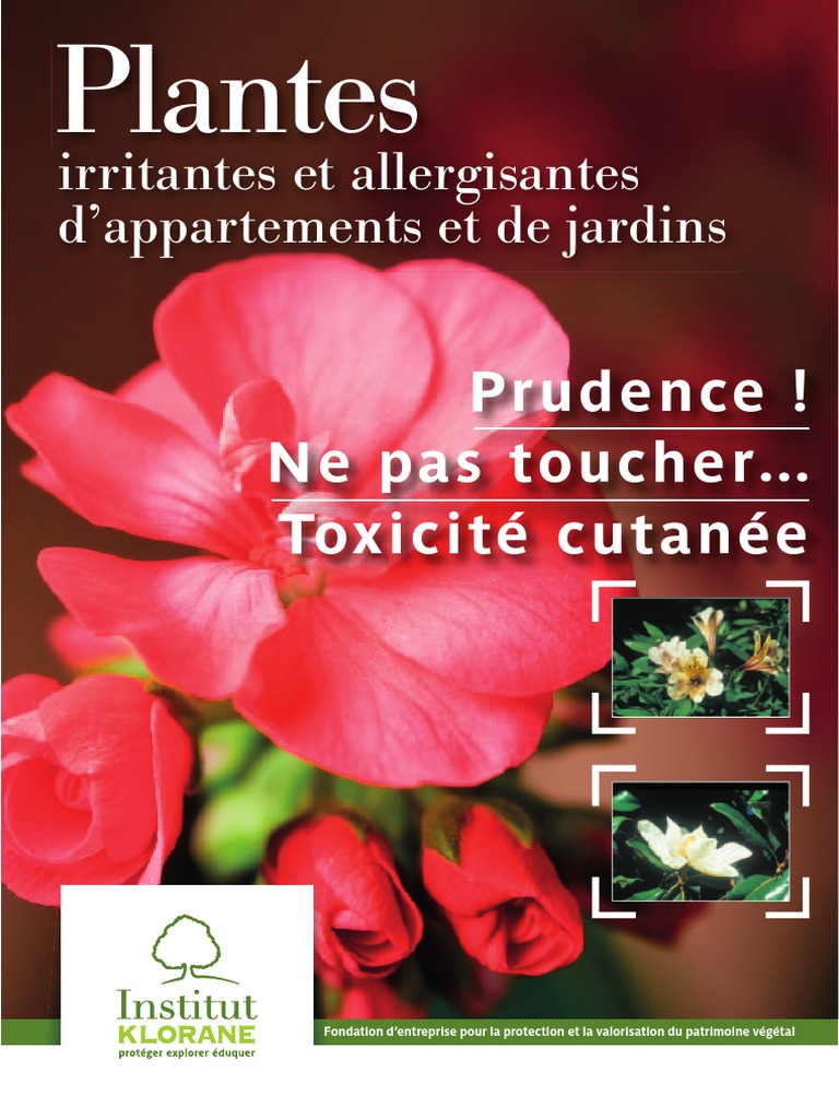 Plantes Irritantes Allergisantes 150dpi Pdf Allergie Feuille