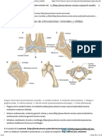 Apuntes de Anatomía. Tipos de Articulaciones Sinoviales y Sólidas