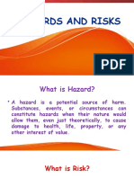 PPPT Hazard and Risk