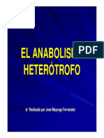 Anabolismo Heterotrofo