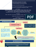 Investigación PP2