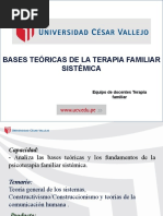 Bases Teóricas de La Terapia Familiar Sistémica