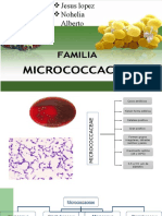 Familia Micrococcaceae