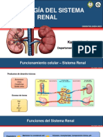 Fisiología renal: procesos básicos y variables