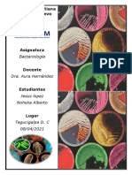 Informe de Bacteriología 