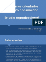 Estudio Organizacional - Lineamientos PMKT JULIO 2021-1