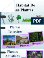 Hábitat de Las Plantas