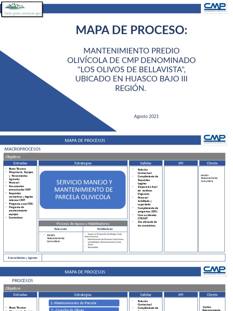 MAPA DE PROCESO LOB Costa Green Servicios | PDF | Aceituna | Industria ...