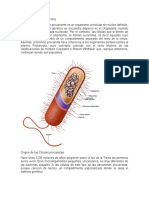 Células Procariotas