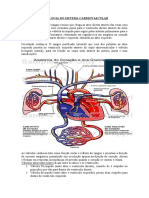 Sistema Cardiovascular