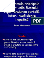 3. hepatite