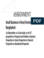 Assignment: Small Business in Rural Environment of Bangladesh