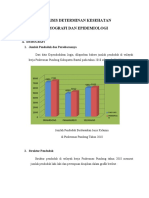 153140_analisis Determinan Kesehatan_demografi Dan Epidemiolog