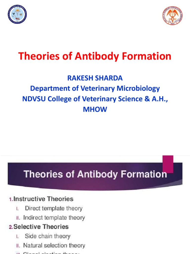Theories of Antibody Formation PDF Antibody Antigen
