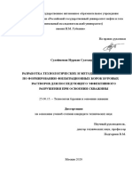 Dissertation Suleimenov NS (2)