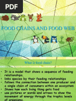 Food Chains and Food Web